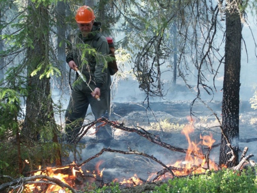 На Первомай на Урале выгорело 30 гектаров леса