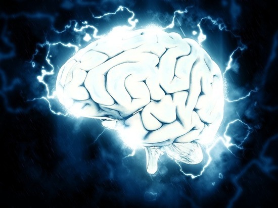 Ученые «перепрограммировали» мозг