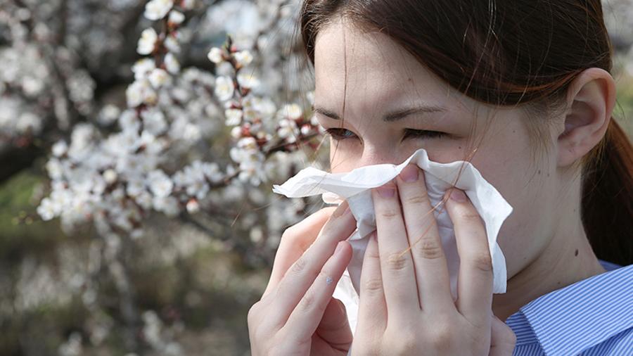 Способы борьбы с аллергией