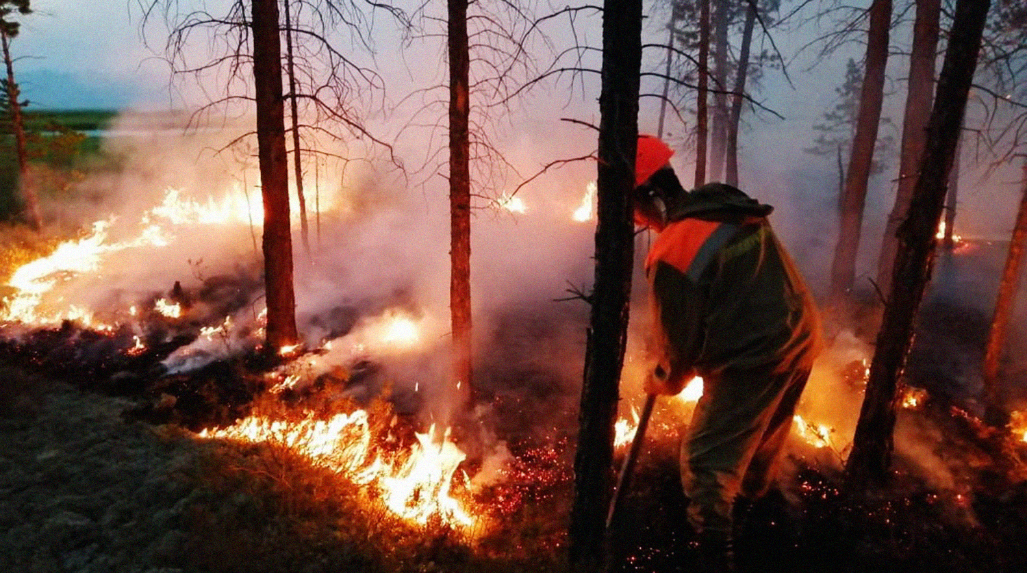 Потушили почти половину пожаров в лесах Сибири