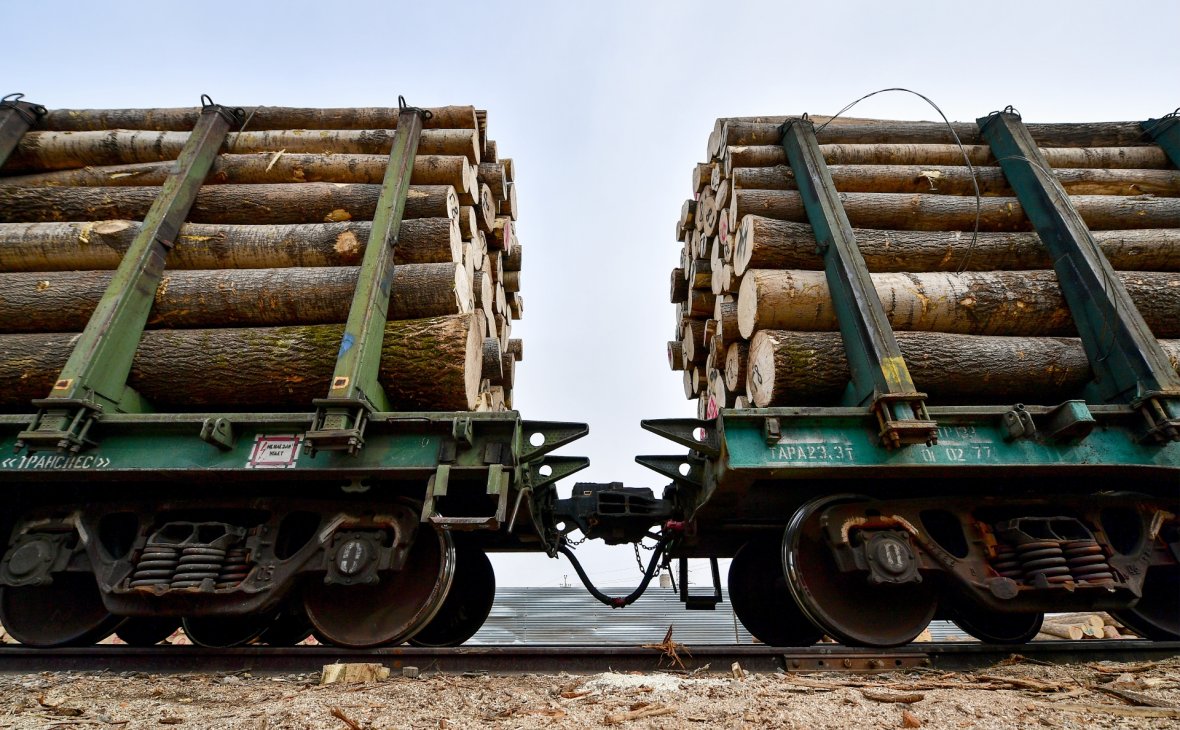Запрет на экспорт леса в Китай
