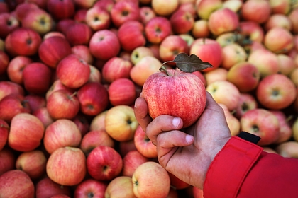Взлетели цены на яблоки