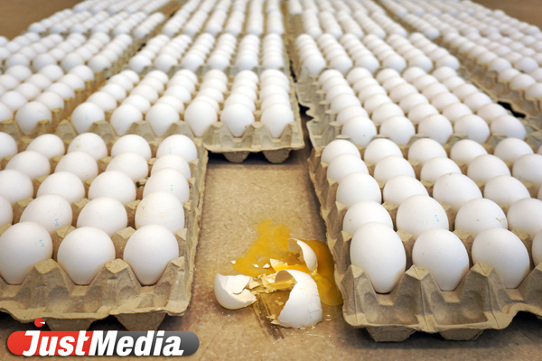 Куры и яйца подорожали на 7,5% в 2021 году