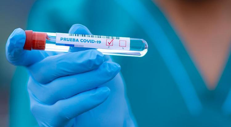 Срочный ПЦР-тест на коронавирус