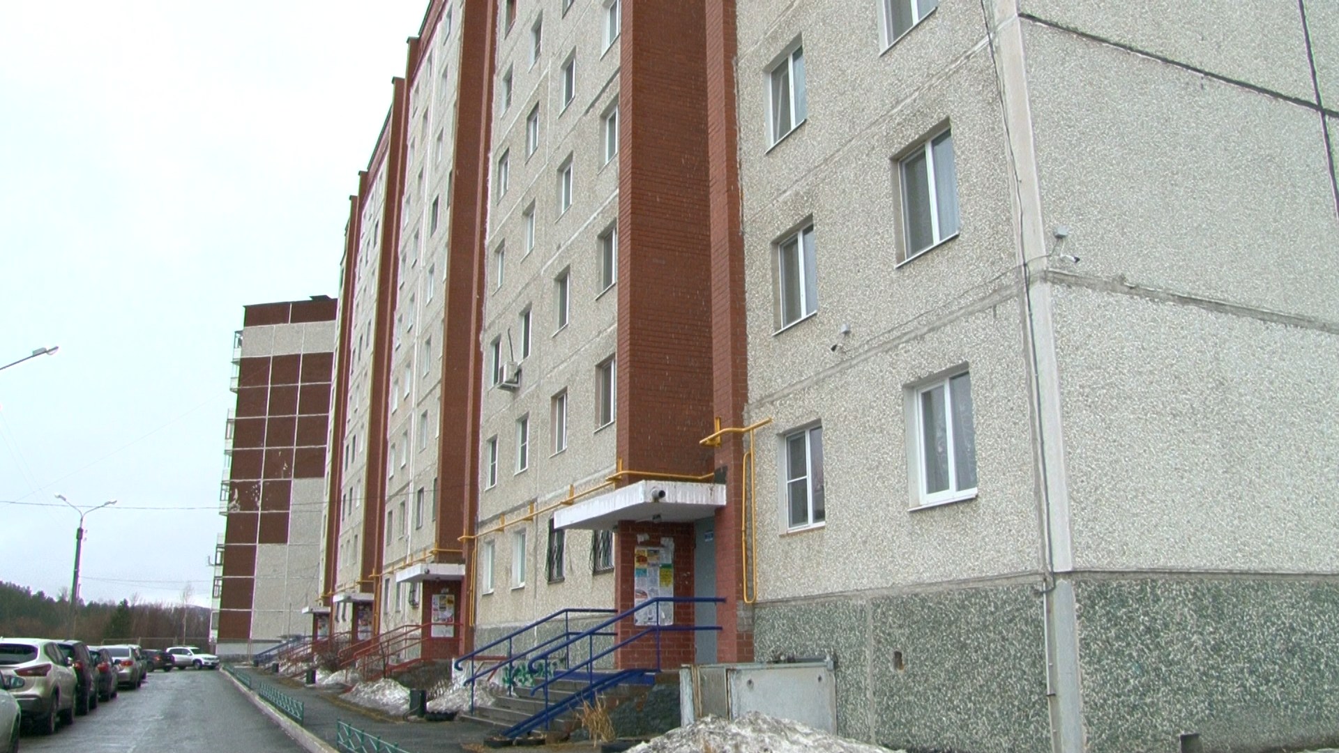 Соседка любит кошек, а весь подъезд задыхается от вони
