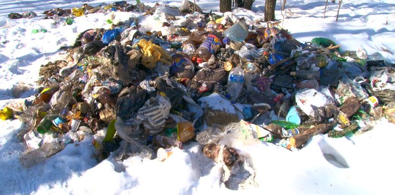 Для "генеральной экологической уборки" необходимо более 1 трлн рублей