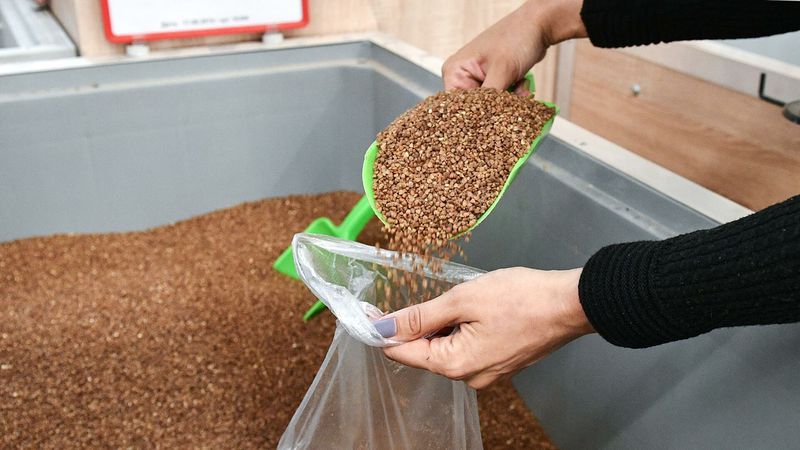 Россия ввела запрет на экспорт гречки