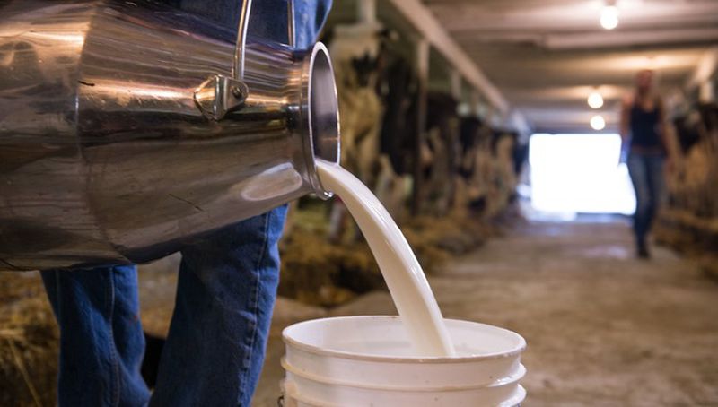 Производители пожаловались на слишком низкие цены на молоко