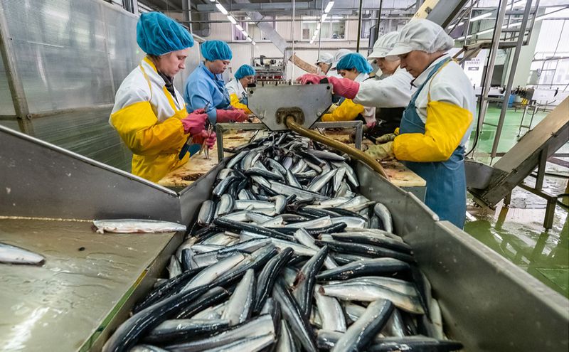 Производитель рыбных консервов пожаловался на массовую подделку сайры