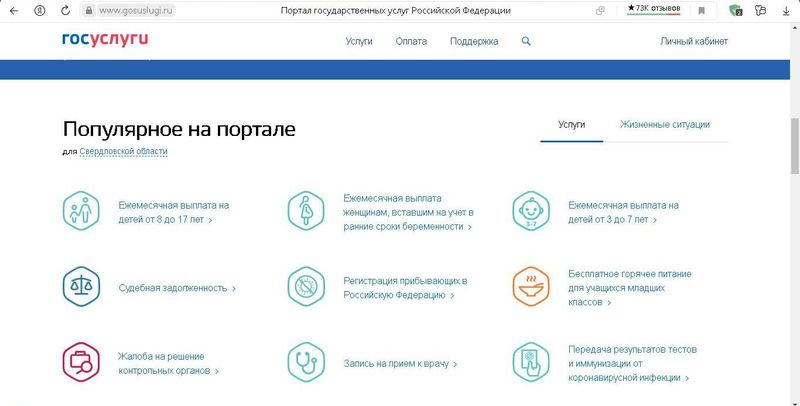 Мошенники на «Госуслугах» берут кредиты и голосуют на праймериз