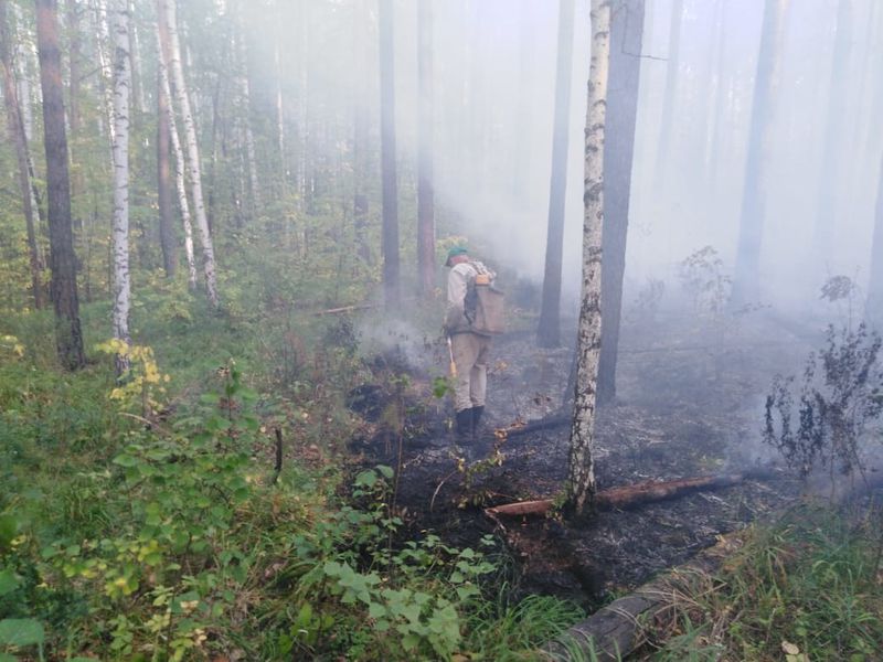 Огнеборцы готовы к наращиванию группировки в районе природного пожара под Первоуральском