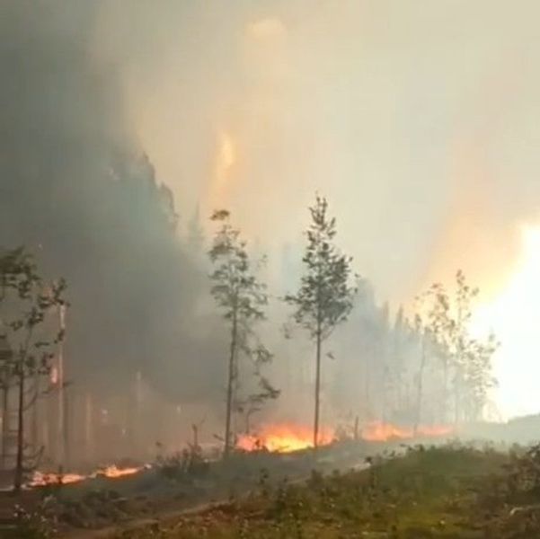 Из-за природного пожара в районе Хомутовки проводится эвакуация населения