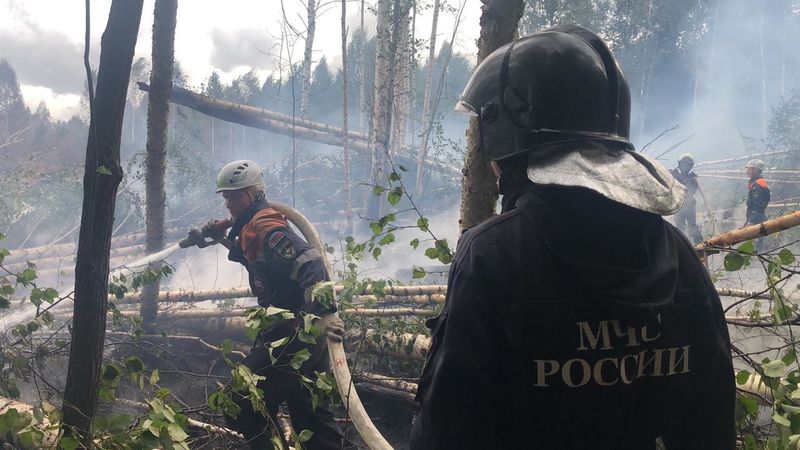 Авиалесоохрана научит волонтеров работать на лесных пожарах в Свердловской области