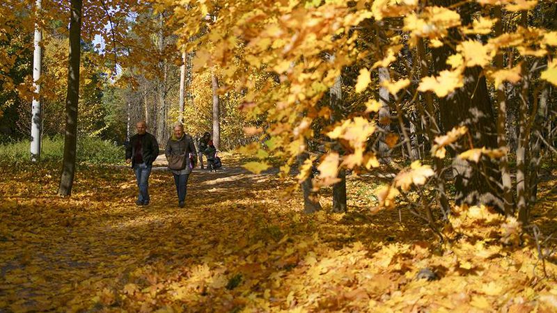 В ноябре россияне будут отдыхать четыре дня подряд