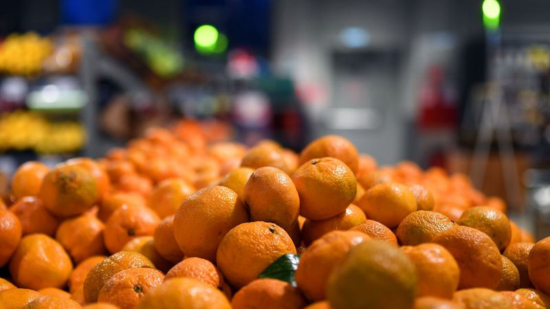 Россия приостановит ввоз турецких мандаринов