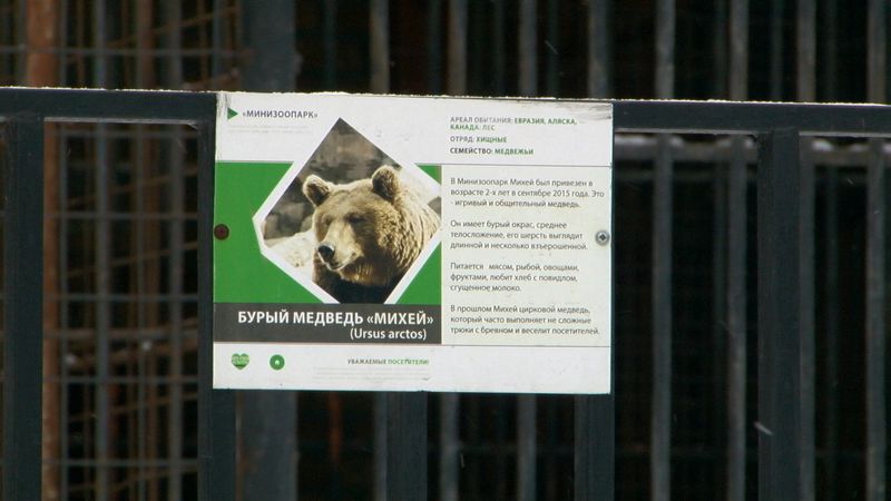 В первоуральском мини-зоопарке медведи впали в спячку