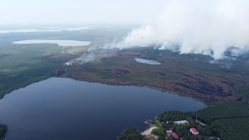Ущерб от лесных пожаров в 2021 году превысил 300 млн руб.