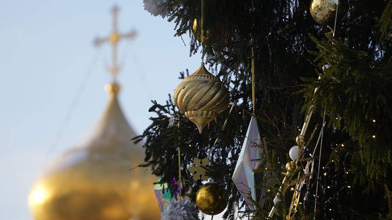Жириновский предложил перенести новогодние каникулы на отпуска