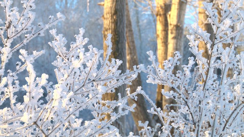 Оттепель откладывается: уральские синоптики предупредили о весенних морозах до -30