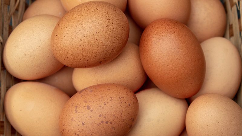 В России цены на яйца могут вырасти на 30-40%