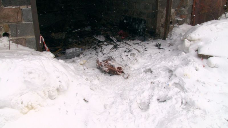 В Первоуральске в  гаражном комплексе нашли останки животных