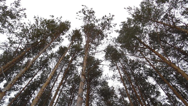 В Свердловской области ожидаются снег и морозы