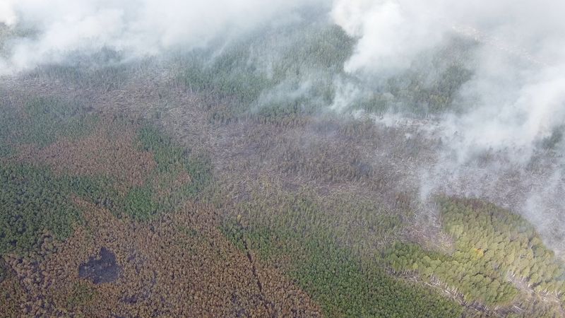 В Свердловской области начали гореть леса