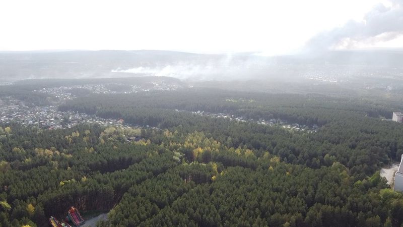 Госдума в 10 раз повысила штрафы для виновников лесных пожаров