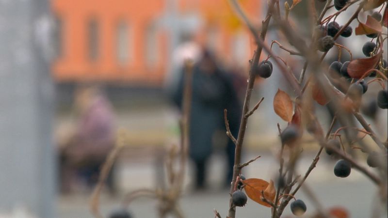 "Зима всегда наступает в первой декаде ноября"