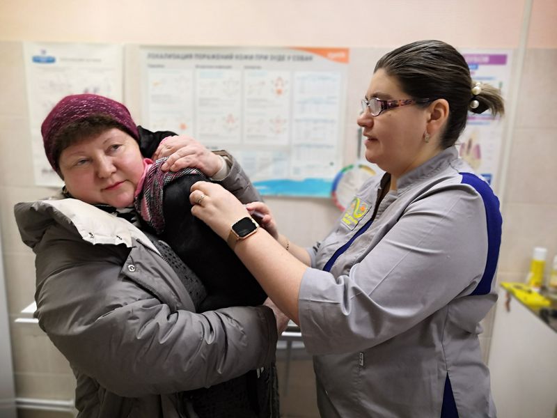 В двух районах Екатеринбурга объявили обязательную вакцинацию домашних животных от бешенства