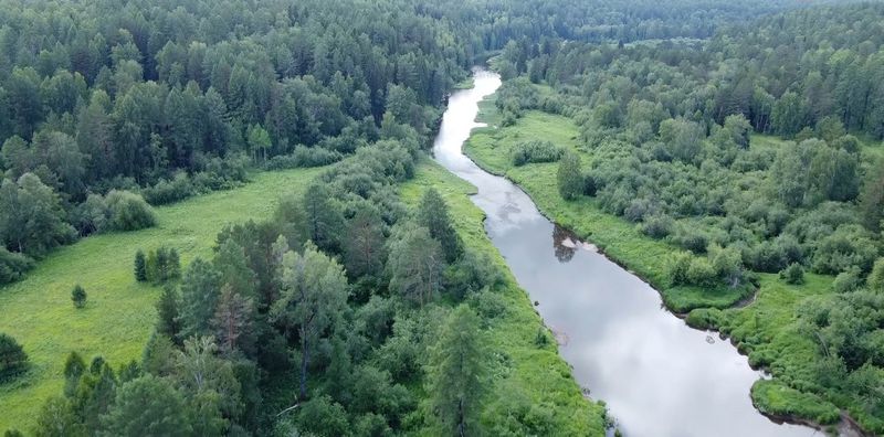 В Свердловской области частично сняли запрет на посещение природных парков