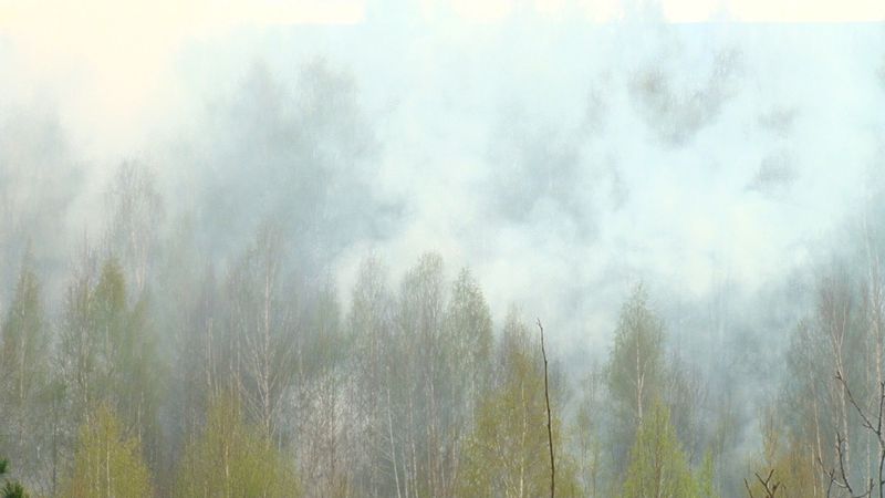 Площадь лесных пожаров на Среднем Урале за неделю сократилась на 92%