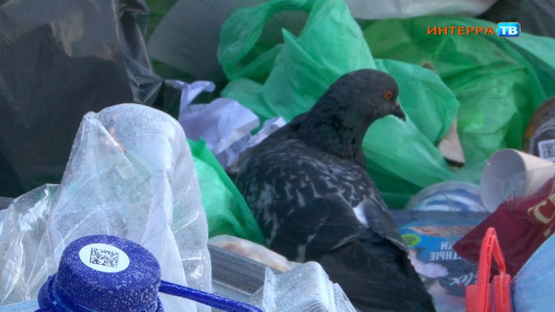 Общественники проверили вывоз мусора в Первоуральске