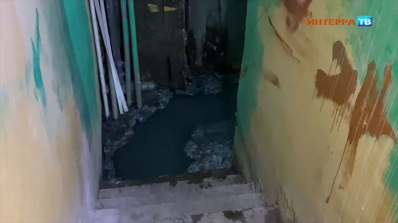 "Везде конденсат, грибок и тараканы"