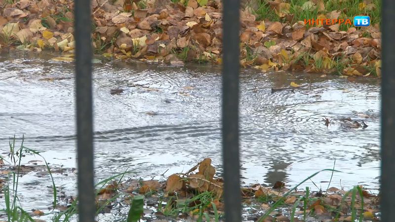 "Канализационные стоки топят подвал дома и Театральный парк"