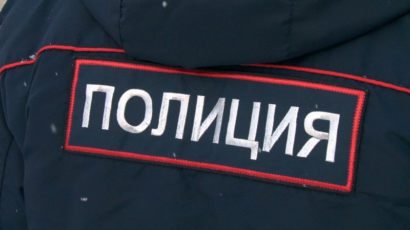 Полиция предупреждает граждан об активизации мошенников перед Новым годом