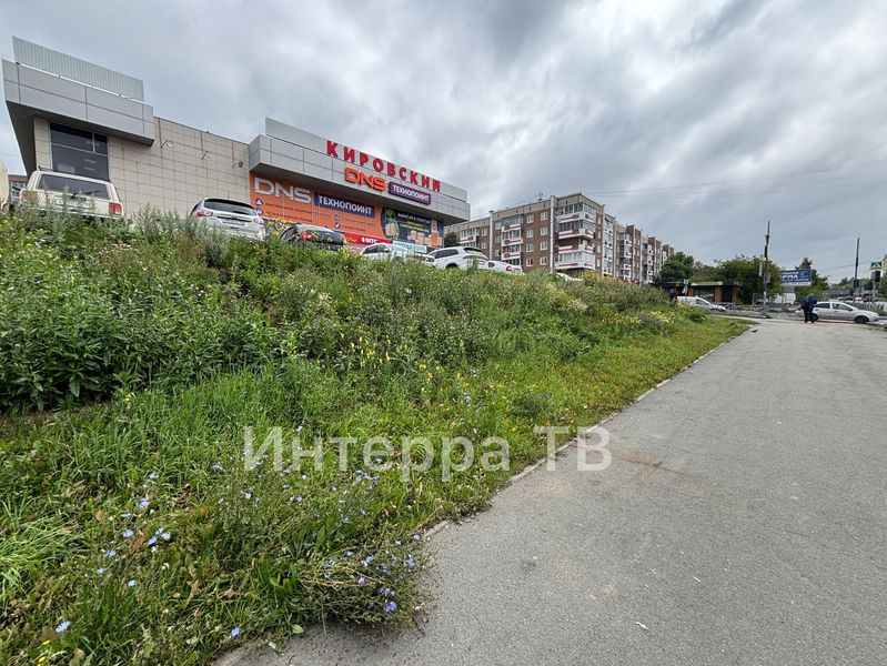 Почему в этом году нет клумбы «Первоуральск» на улице Ленина?
