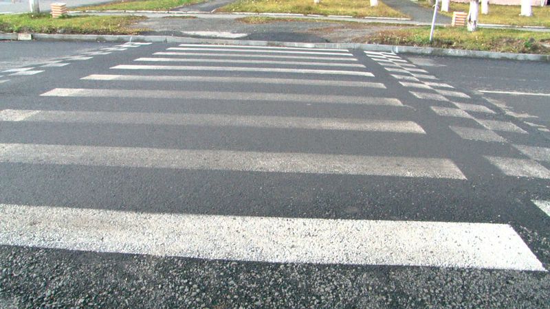 В регионе стартует профилактическое мероприятие «Внимание-дети!»