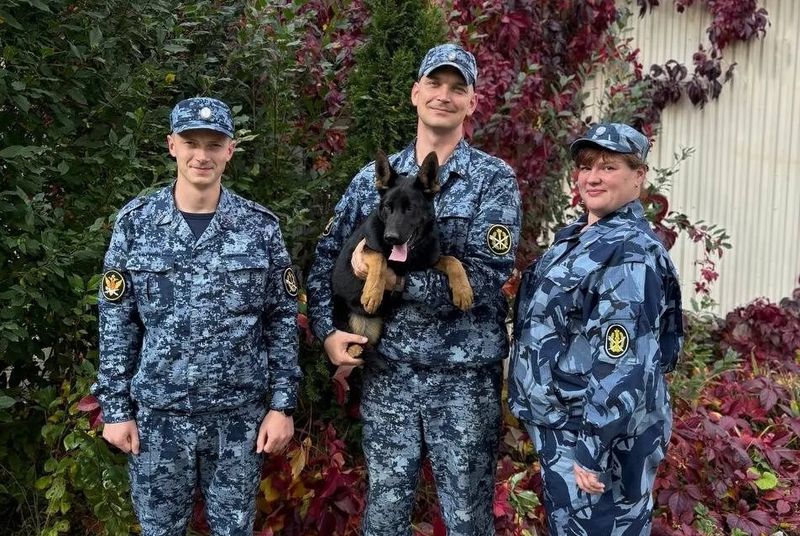 6-месячная овчарка Зана приехала в первоуральский племпитомник ФСИН из Перми