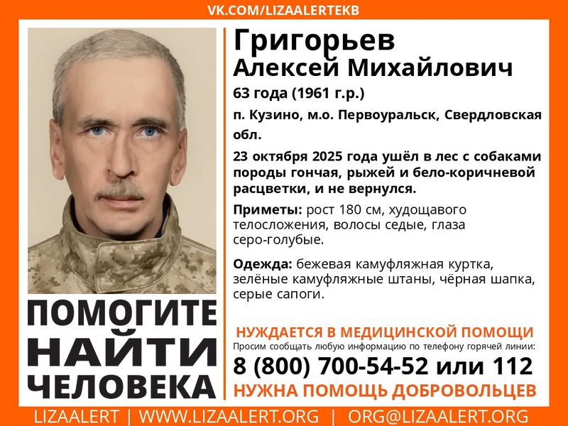 Полиция и волонтёры ищут пропавшего в лесу охотника с двумя собаками