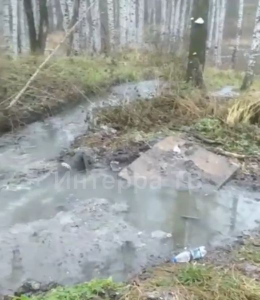 "С мая у нас вот такая экологическая катастрофа"