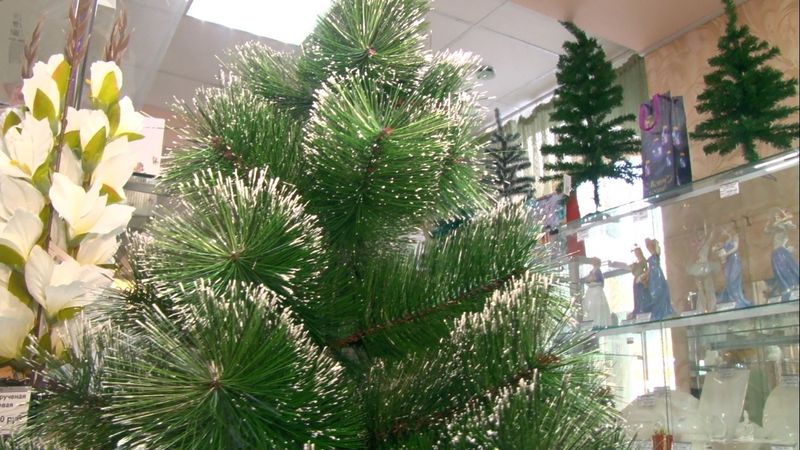 Галстуки, варежки, змеи — рейтинг худших новогодних подарков