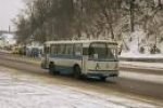 Победители тоже плачут